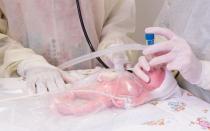 Prematüre bebeğin evde bakımı Yedi aylık bebeğin bakımı