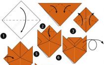 Мастер-класс: модульдерден оригами жолбарысы