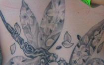 Význam vážky v tetování Náčrt tetování vážky a květin
