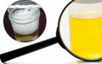 Protein in urine: what it means, possible causes What does protein in urine mean 0